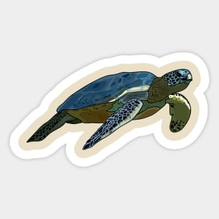 Sea turtle cartoon illustration Sticker